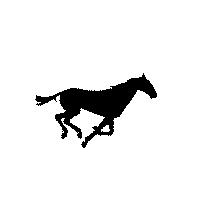 Gallopp