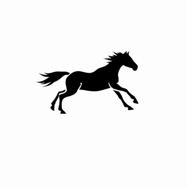 Gallopp